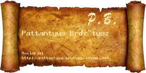 Pattantyus Brútusz névjegykártya